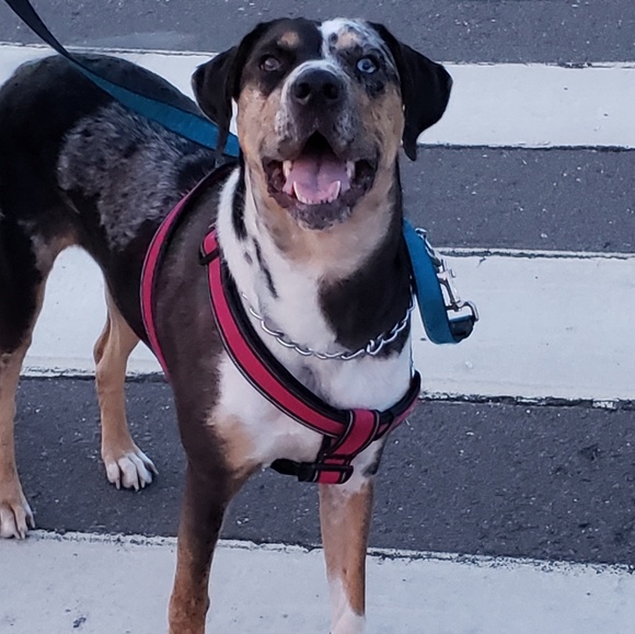 Meet your Posher, Andrea - Picture 3 of 7